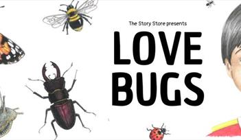Love Bugs