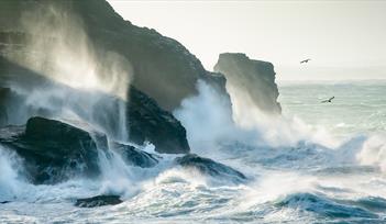 Lost to the Sea by Lisa Woollett