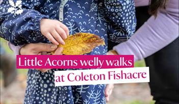 Little Acorn welly walks at Coleton Fishacre