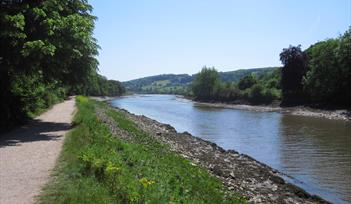 Photo of footpath at Longmarsh alongside Dart