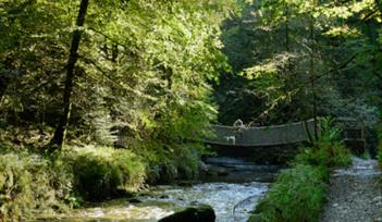Lydford Gorge - National Trust