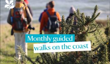 Monthly guided walks on the coast