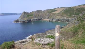 Maceley Cove