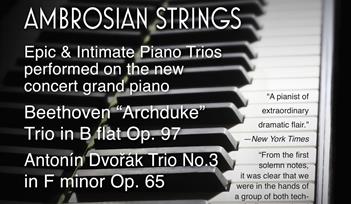 Daniele Rinaldo & Ambrosian Strings live classical music event in St Marychurch Torquay