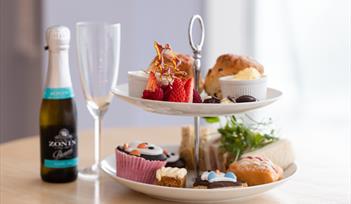 Mother's Day Afternoon Tea at Living Coasts