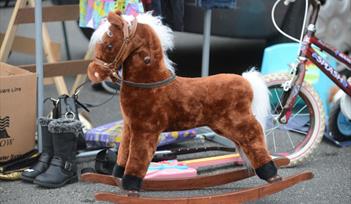 Car Boot Sales at Newton Abbot Racecourse