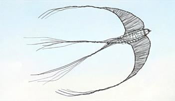 Sculpt A Wire Swallow at House of Marbles This Autumn