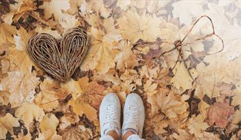 Weave a Willow Heart or Dragonfly at House of Marbles This Autumn