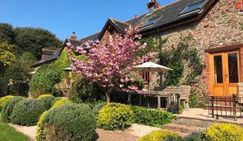 Nethway Farm Holiday Cottages Outside