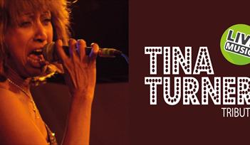 Tina Turner Tribute