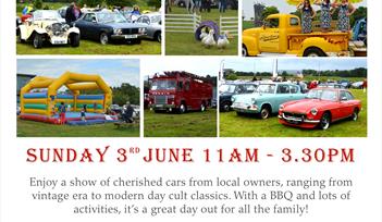 Darts Farm Classic Car Show