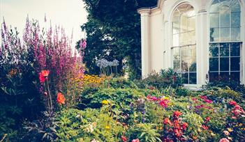 Teignmouth Orangery