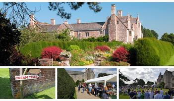 Ottery St Mary's Summer Fair