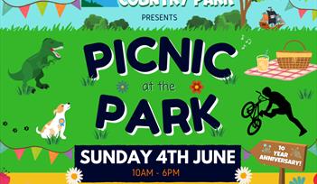 Picnic at the Park at River Dart Country Park