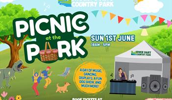 Picnic at the Park 2025