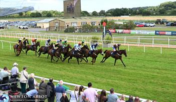 Horseracing at Newton Abbot Racecourse