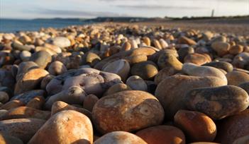 Pebbles on the Beach