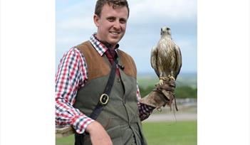 Hawkeye Falconry