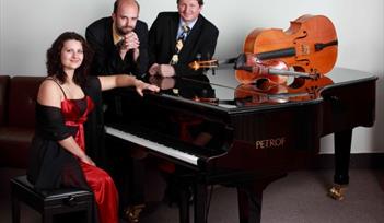 Petrof Piano Trio (Violin, Cello & Piano)