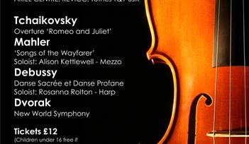 Torbay Symphony Orchestra June Concerts