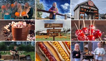 Pumpkin Nights at Pennywell Farm!