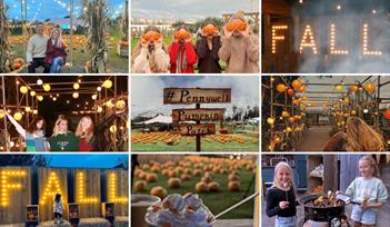 Pumpkin Nights at Pennywell Farm!