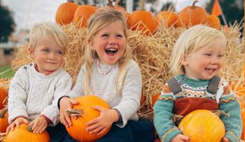 Pennywell Pumpkin Patch