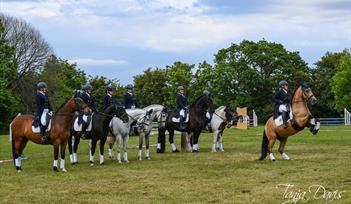 All-Steps Formation Riding