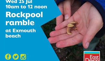 Rockpool Ramble: Exmouth