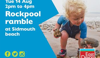 Rockpool Ramble Sidmouth