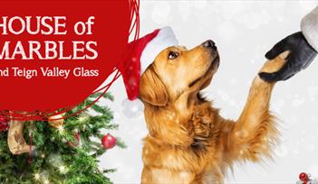 Santa Paws at House of Marbles