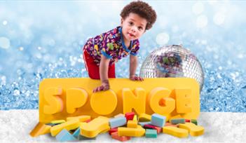 Sponge