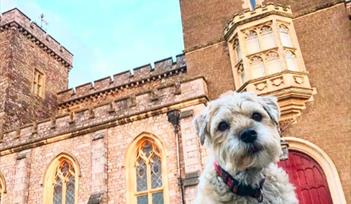 Pooches at Powderham