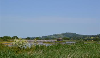 Seaton Wetlands