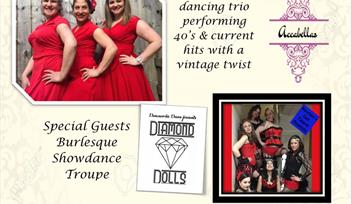 Fundraising Singing & Dance Concert