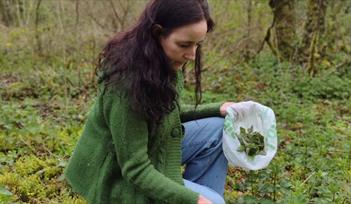 Lady foraging nettles to create skin care products