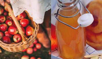 Craft Revolution: Apple of My Eye – Apple Day at Dartington