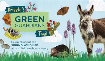 illustrated wildlife with coloured set on green hills