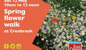 Spring flower walk in Cranbrook
