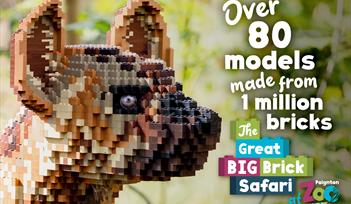 The Great Big Brick Safari at Paignton Zoo