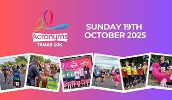 Tamar 10k