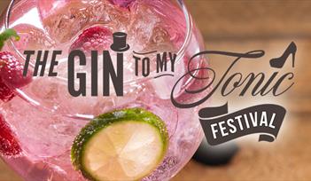 The Gin To My Tonic Festival