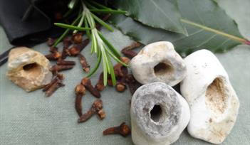Plants & Poultices