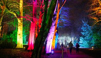 Christmas Trail at Killerton