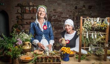 Tudor Herbe Wives