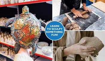 Turtle Sculpting Class