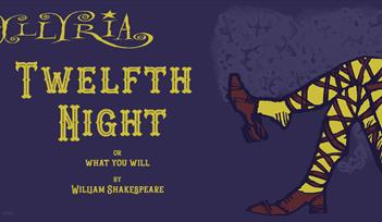 Twelfth Night Poster image - yellow legs and writing on a dark blue background