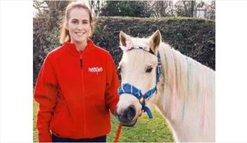 Unicorn Week at Pennywell Farm
