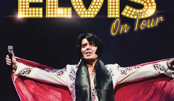 A Vision of Elvis