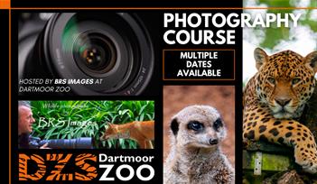 Photography Course